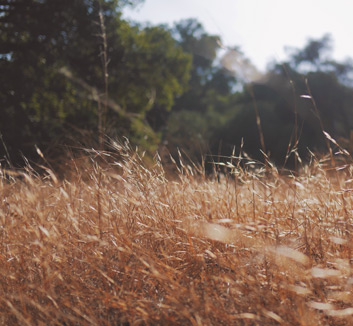 曼城主帅指责裁判判罚，球队准备下场比赛全力以赴