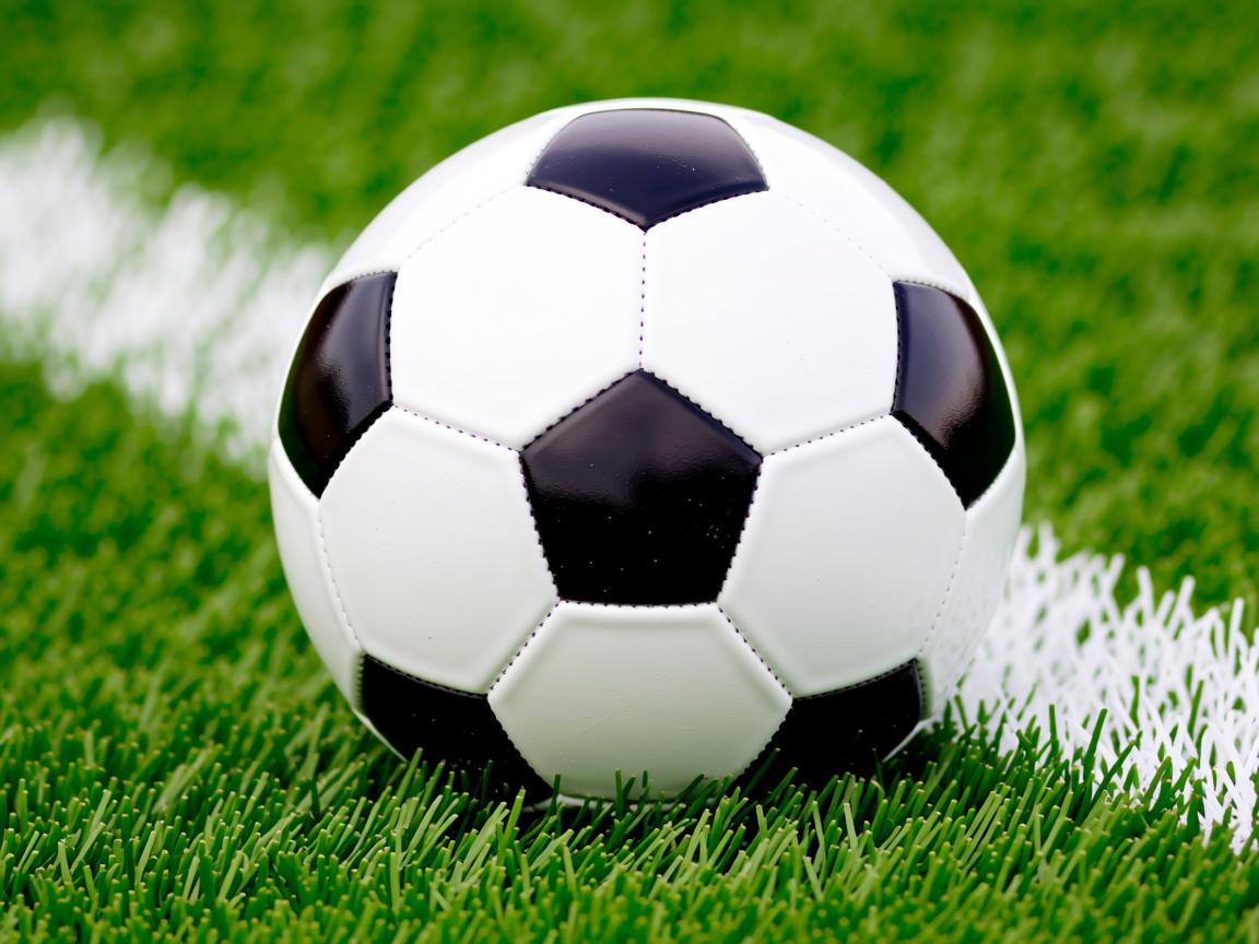 开云体育登录入口-WCBA季后赛广东女篮力克四川问鼎冠军，广东女篮比赛视频